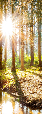 Tenda a rullo interna oscurante con stampa del sole che splende tra gli alberi