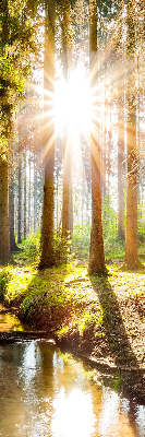 Tenda a rullo interna oscurante con stampa del sole che splende tra gli alberi