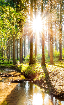 Tenda a rullo interna oscurante con stampa del sole che splende tra gli alberi
