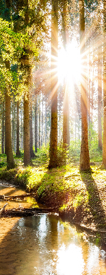Tenda a rullo interna oscurante con stampa del sole che splende tra gli alberi