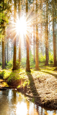 Tenda a rullo interna oscurante con stampa del sole che splende tra gli alberi
