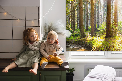 Tenda a rullo interna oscurante con stampa del sole che splende tra gli alberi