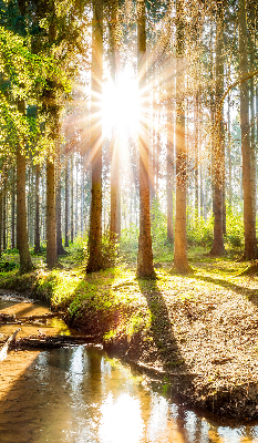 Tenda a rullo interna oscurante con stampa del sole che splende tra gli alberi