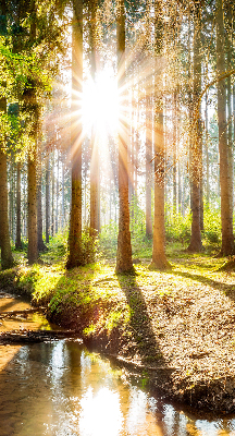 Tenda a rullo interna oscurante con stampa del sole che splende tra gli alberi