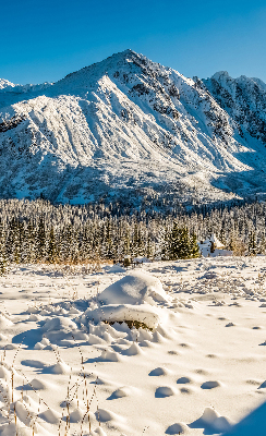 Tenda a rullo oscurante in tessuto con stampa a tema montagne