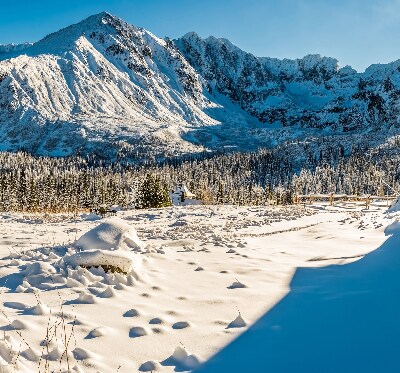 Tenda a rullo oscurante in tessuto con stampa a tema montagne