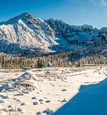 Tenda a rullo oscurante in tessuto con stampa a tema montagne
