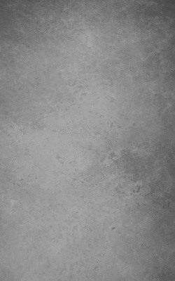 Tenda a rullo interna oscurante di colore grigio fumo