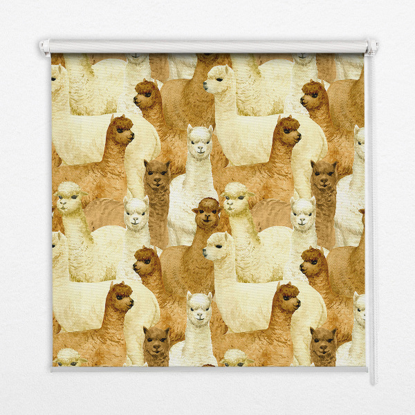 Tenda a rullo interna oscurante decorata con un branco di alpaca