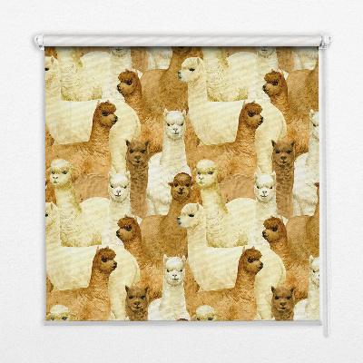 Tenda a rullo interna oscurante decorata con un branco di alpaca