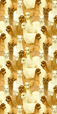 Tenda a rullo interna oscurante decorata con un branco di alpaca