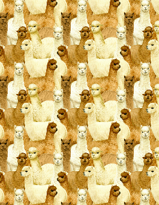 Tenda a rullo interna oscurante decorata con un branco di alpaca
