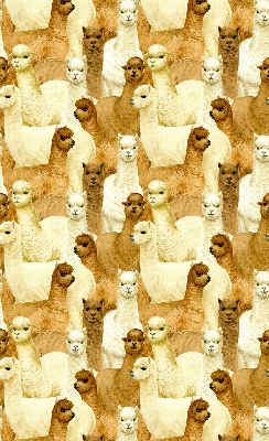 Tenda a rullo interna oscurante decorata con un branco di alpaca