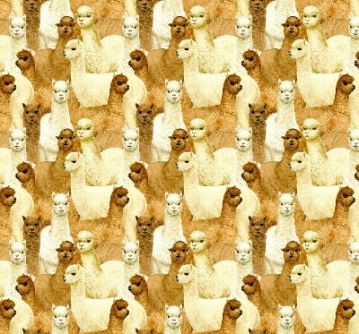 Tenda a rullo interna oscurante decorata con un branco di alpaca
