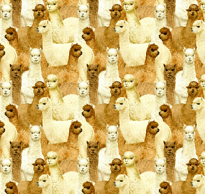 Tenda a rullo interna oscurante decorata con un branco di alpaca