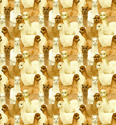 Tenda a rullo interna oscurante decorata con un branco di alpaca