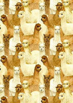 Tenda a rullo interna oscurante decorata con un branco di alpaca
