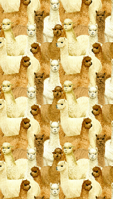 Tenda a rullo interna oscurante decorata con un branco di alpaca