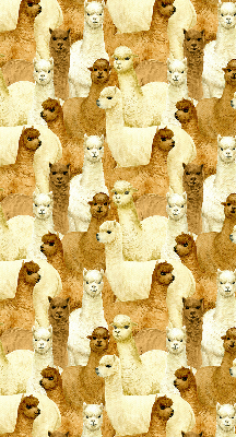 Tenda a rullo interna oscurante decorata con un branco di alpaca