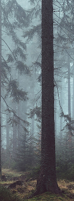 Tenda a rullo oscurante con stampa disegno foresta di notte