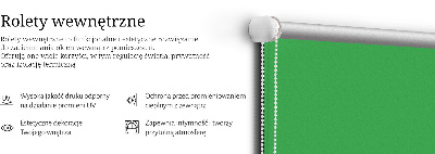 Tenda a rullo oscurante per finestra di colore verde