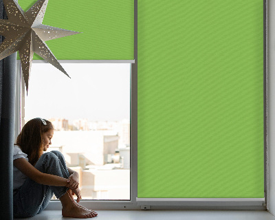 Tenda a rullo interna oscurante di colore verde