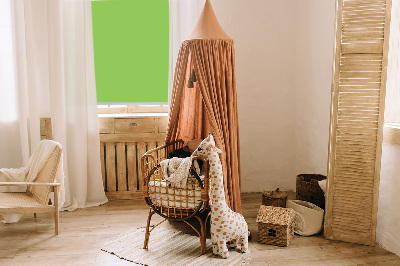 Tenda a rullo interna oscurante di colore verde