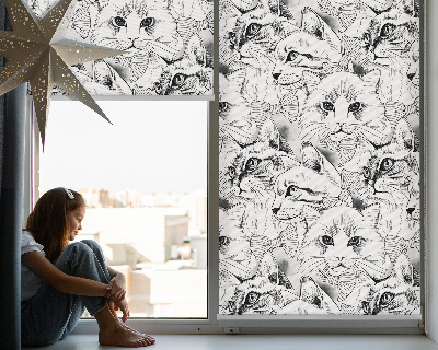 Tenda a rullo oscurante in tessuto con disegni di gatti