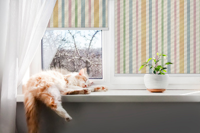 Tenda a rullo interna oscurante con fantasia a strisce verticali colorate
