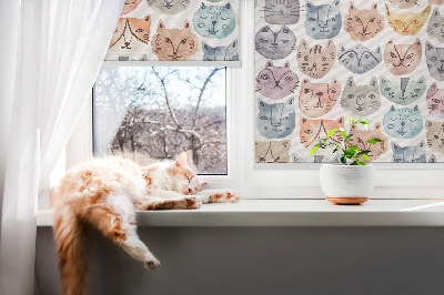 Tenda a rullo oscurante per finestra con motivo di facce di gatto colorate