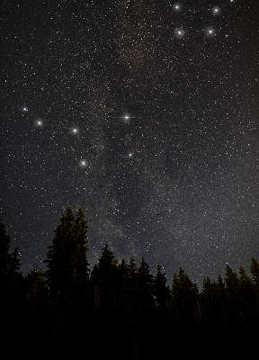 Tenda a rullo interna oscurante con fantasia stelle nel cielo