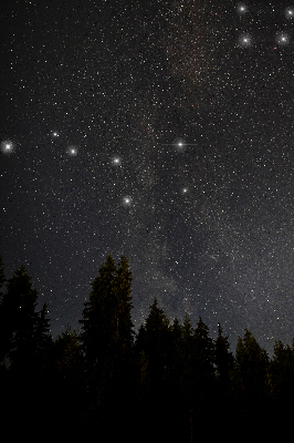 Tenda a rullo interna oscurante con fantasia stelle nel cielo