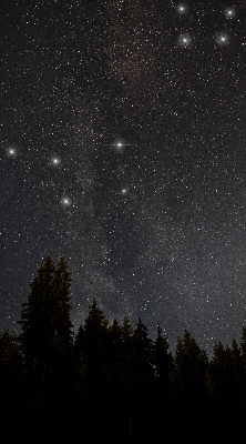 Tenda a rullo interna oscurante con fantasia stelle nel cielo