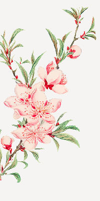 Tenda a rullo interna per finestra oscurante con fantasia a fiore rosa