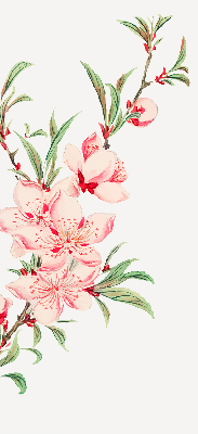 Tenda a rullo interna per finestra oscurante con fantasia a fiore rosa