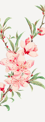Tenda a rullo interna per finestra oscurante con fantasia a fiore rosa