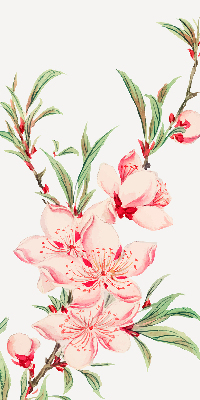 Tenda a rullo interna per finestra oscurante con fantasia a fiore rosa