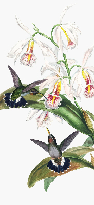 Tenda a rullo oscurante per finestra con motivo di uccelli su un fiore