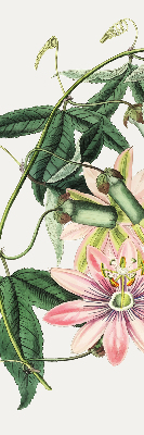 Tenda a rullo oscurante per finestra con fantasia a fiori rosa