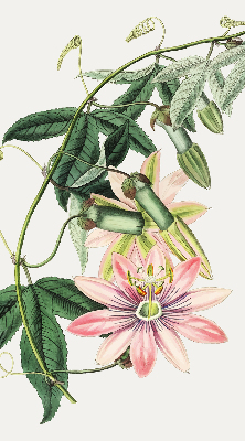 Tenda a rullo oscurante per finestra con fantasia a fiori rosa
