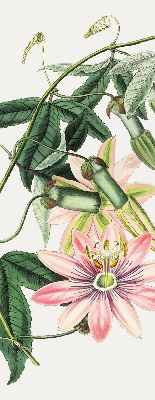 Tenda a rullo oscurante per finestra con fantasia a fiori rosa