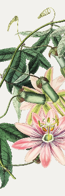 Tenda a rullo oscurante per finestra con fantasia a fiori rosa