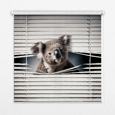 Tenda a rullo oscurante modello koala per finestra