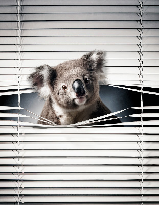 Tenda a rullo oscurante modello koala per finestra
