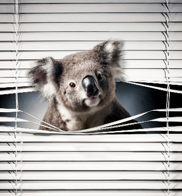 Tenda a rullo oscurante modello koala per finestra