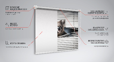 Tenda a rullo oscurante modello koala per finestra