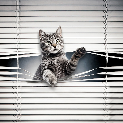 Tenda a rullo interna oscurante modello gatto