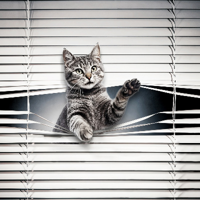 Tenda a rullo interna oscurante modello gatto