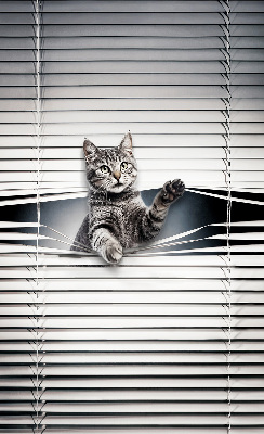 Tenda a rullo interna oscurante modello gatto