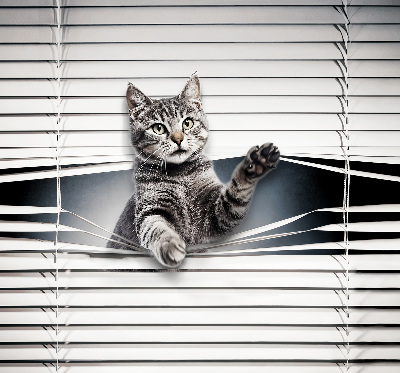 Tenda a rullo interna oscurante modello gatto